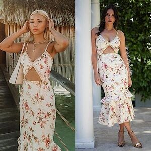 NWT V. Chapman Luna Dress (size 2) in English Rose